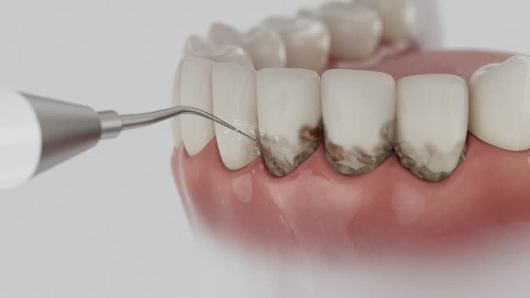 Reliable Dental contractor in Montague, MI by Dentist Open Now
